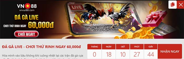 Khuyến mãi khi chơi đá gà tại Vn88